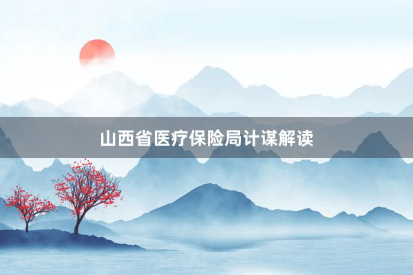 山西省医疗保险局计谋解读
