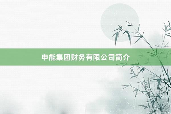 申能集团财务有限公司简介