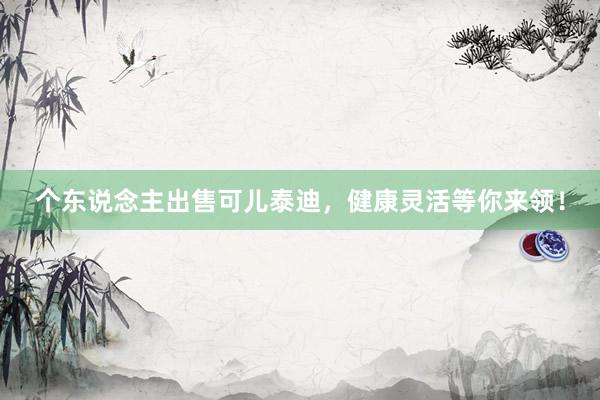 个东说念主出售可儿泰迪，健康灵活等你来领！
